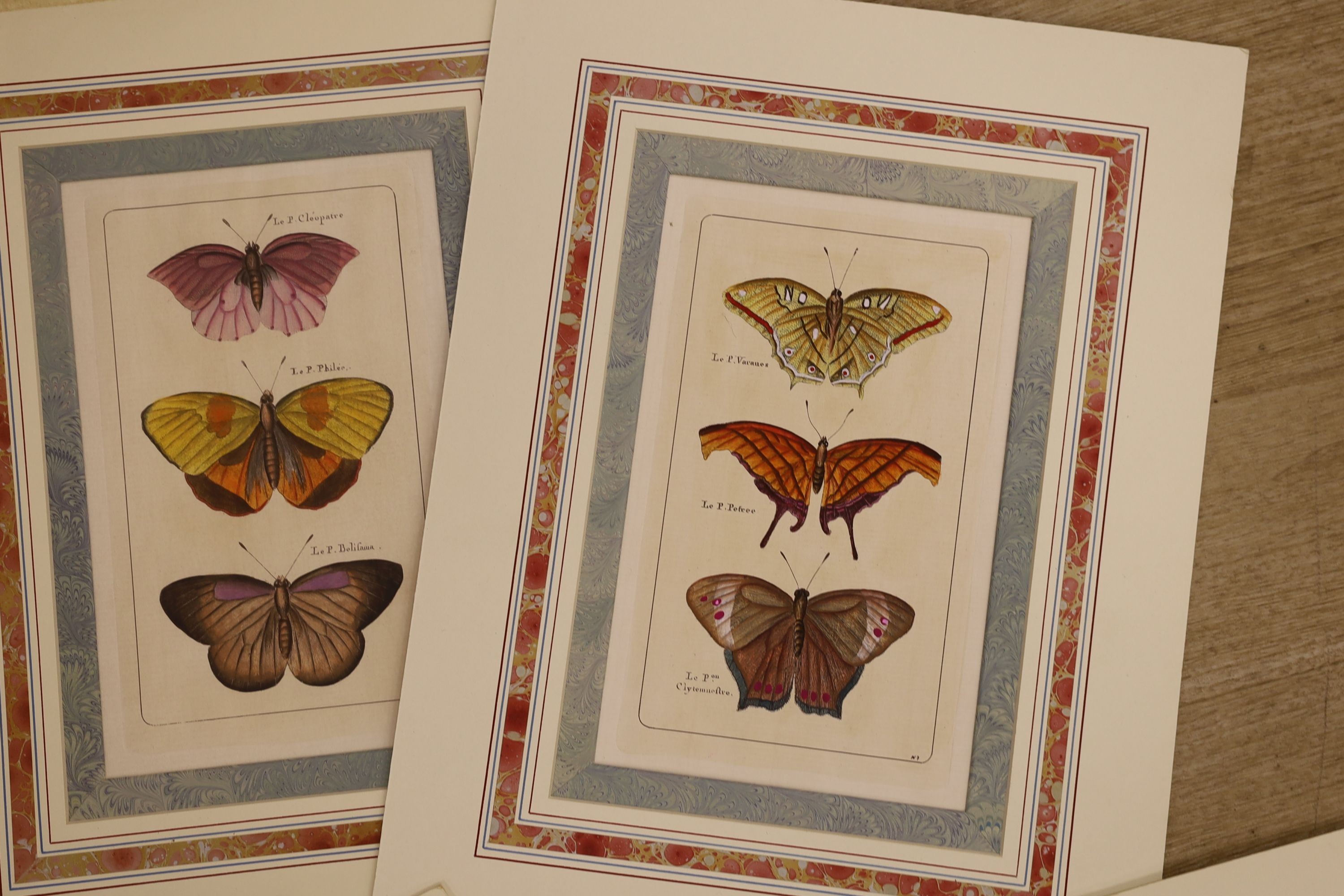 19th century French School, a set of ten hand coloured engravings, Studies of butterflies, 24 x 15cm, unframed